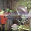 A professional of pressing peanut oil machine / peanut oil press machine