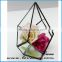 Clear geometrical terrarium glass hanging for indoor plant holder