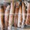 Frozen Argentina Squid(illex squid)