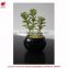 Artificial succulent plants mini artificial plants Potted Artificial Mini Succulent Plants