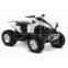 2012 Can-Am Renegade 500