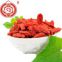 Health food Ningxia dried goji berry