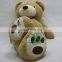 HI EN71 giant American Teddy bear skin plush toy,soft toy for girls,Valentine huge bear birthday gift