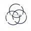 Diesel Engine Spare Parts 3802040 Piston Ring Set for Cummins B3.9-G2-GS/GC 4B3.9 Manufacture Factory in China Order