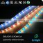 China SMD 5050 Flexible RGB W WW CW Led Strip