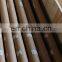 Wholesale  Gym Bar Weight Lifting Barbell Curl Bar Gym Equipment