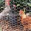 Hot dipped galvanized hexagonal wire mesh/chicken wire/PVC coated chicken fence