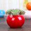 European style simple white succulent planting pot creative candy color ceramic small flower pot