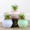 Cute Round Flowerpot With Artificial Flowers,Green Plants,Home Decoration Pottery Flower Pots Planters Potting Pots