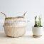 Hot Sale CHeap Zigzag Seagrass Belly Basket Best Seller Plant Holder Storage Basket Decor Home Wholesale