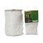 Weiches Maschendrahtgitter in Gro?packung, 6 Zoll Quadrate, 5ft * 350ft, Nylon-Traggitter für Gew?chshauspflanzen
