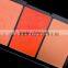 Wow! Multi-color natural blush pallet, high light blusher for cheek, OEM cosmetics powder blushes