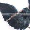 Event Decoration Craft Large Black Angel Wings Goose Feather