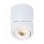 10W Adjustable high quality Dimmable COB led ceiling surface light with HEP driver