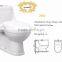 Hot Selling Ceramic Sanitary Ware Washdown One Piece Bathroom Toilet