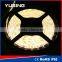 2 Years Warranty Warm White CE ROHS 3528 SMD Waterproof Strip Light LED 12V