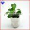 eco friendly agriculture PP spunbonded nonwoven fabric