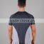 Mens fitness gym dri fit custom fashionable compressed muscle fit t shirts