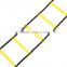 11 Flat Rung Speed Agility Ladder with Free Carry Bag