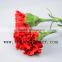 Different Colors Wedding Flower Red Carnation Flower Flower Bouquets