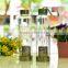 450ml china outer Promotional Sealed Heat-resisting Stainless Steel Lid Fruit Infused Glass Water Bottles