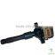 Auto IGNITION COIL 12131748018 12131703228 1703227