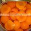 High quality healthy canned apricot halves for sale