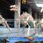 MY Dino-C030 Life Size Dinosaur Skeleton Model for Sale