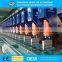 Factory Used HDPE Plastic Geocell for Retaining Wall