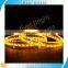 EB 3014 angel eyes 36SMD for led car accessory auto part crystal