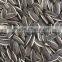 Black Sunflower Seeds 5009