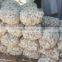 Supplier Garlic White garlic