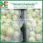 Chinese fresh peeled onion