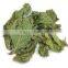 Chinese herb medicine mint leaf for tea( Bo he)