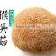 Hericium Erinaceus Mushroom Lions Mane Mushroom