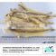 Wholesale dried bombay duck fish supplier