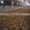 good service modern design broiler breeder farm