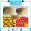 technical bovine bone gelatin/bovine gelatin powder/gelatin plant