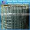 2x2 galvanized welded wire mesh roll / welded wire mesh in rolls