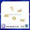 Factory Direct Produce Brass Rivet