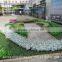 SJLJ013479 new style artificial grass wall / decorative artificial green wall
