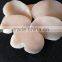 Frozen scallop high quality pen scallop for sale