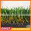 Good quality Landscaping Artificial Lawn and Garden Resistant to Sun
