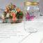 cheap plastic colourful romantic shining butterfly Jar