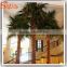 Cheapest interior decoration artificial Washington palm tree wholesale