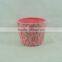 New desgin ceramic flower pot for home decoration