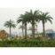 Artificial Date Palm Tree