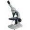biological microscope