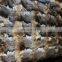 High Quality Fox Fur Plates