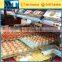 Egg Tray Making Machine /Small Egg Tray Machine/Egg Tray Manufacturing